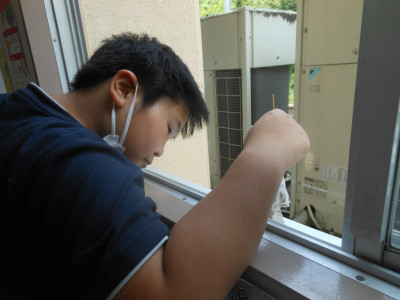 DSCN6293
