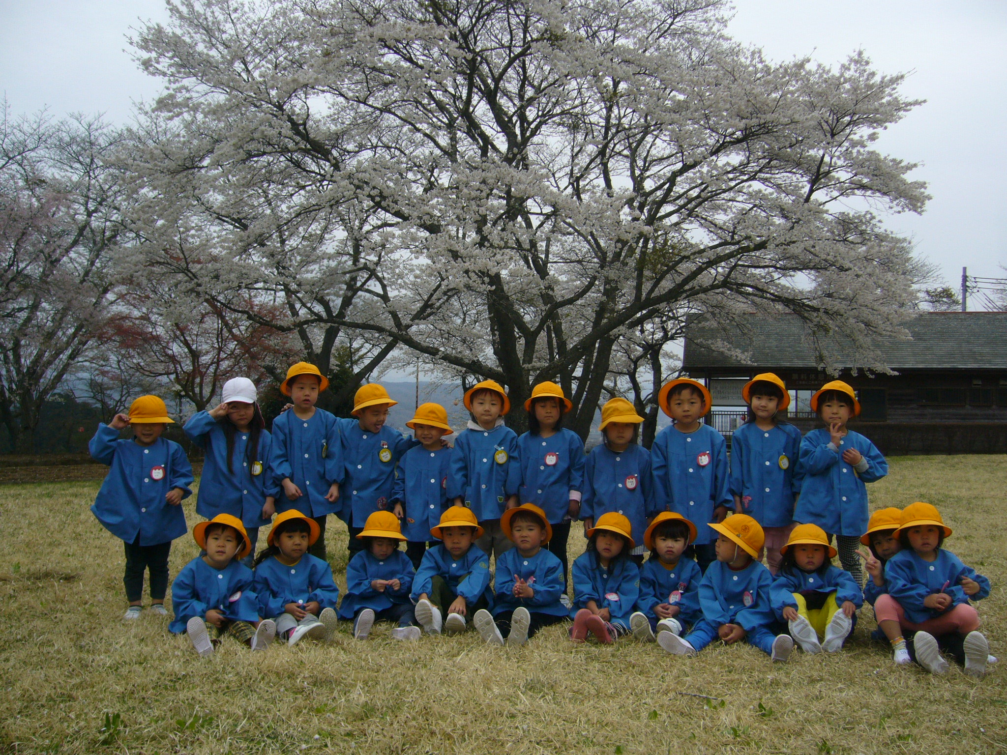 赤館公園花見
