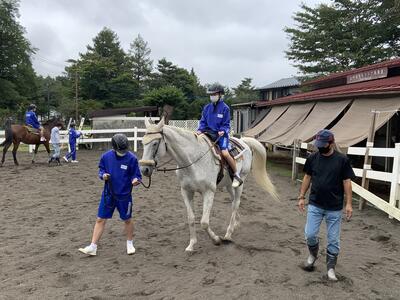 乗馬